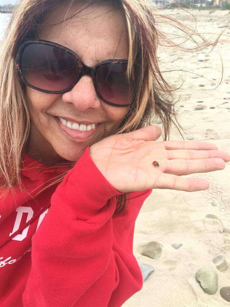 Female looking for a room to rent