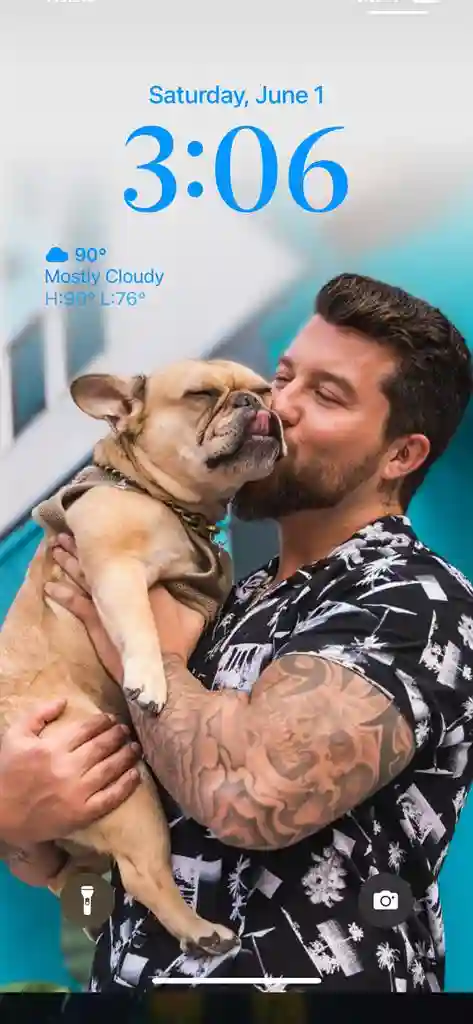 Looking for a place to live