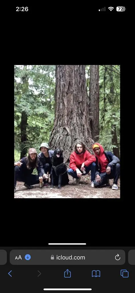 Private chef looking for room