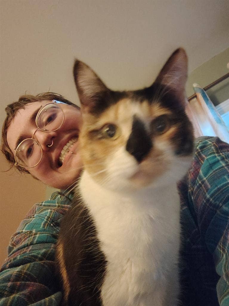 Looking for room to rent in Boston