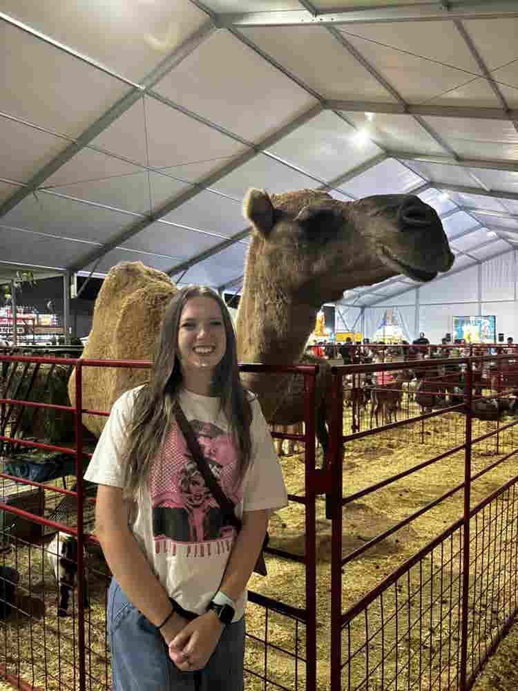 Looking for a room or roommates