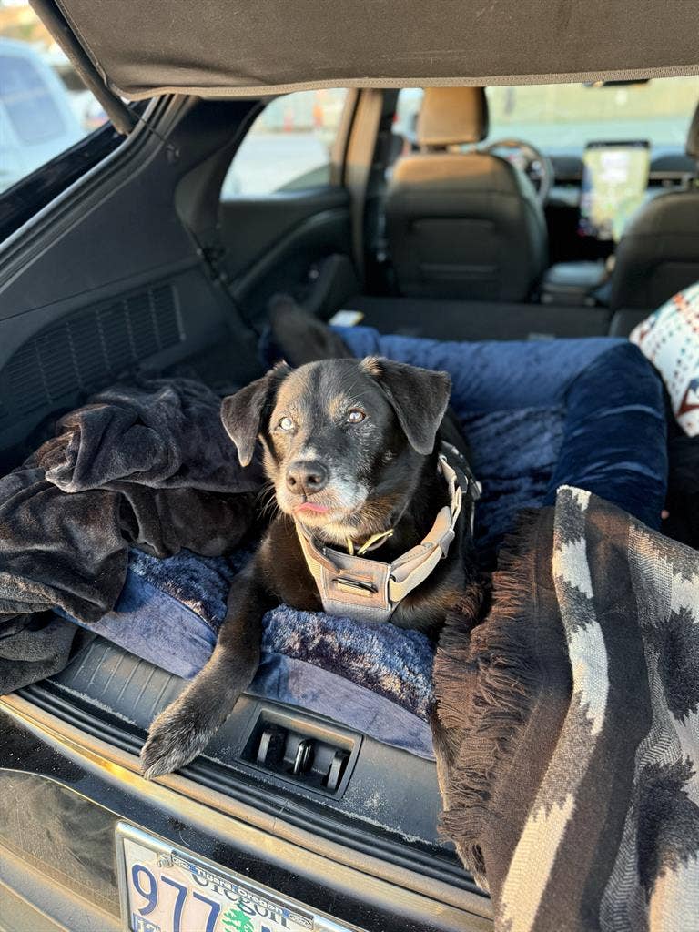 Looking for a room to rent!