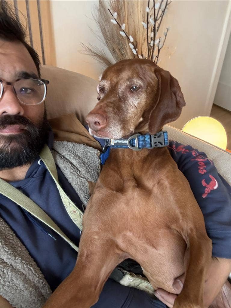 Looking for room for me and my dog