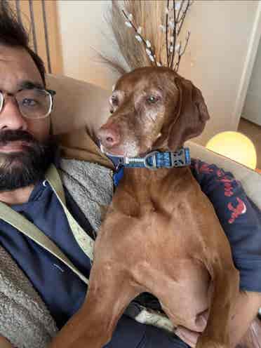Looking for room for me and my dog