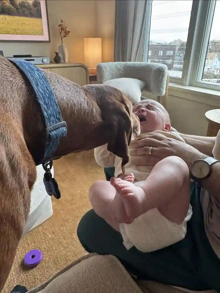 Looking for room for me and my dog