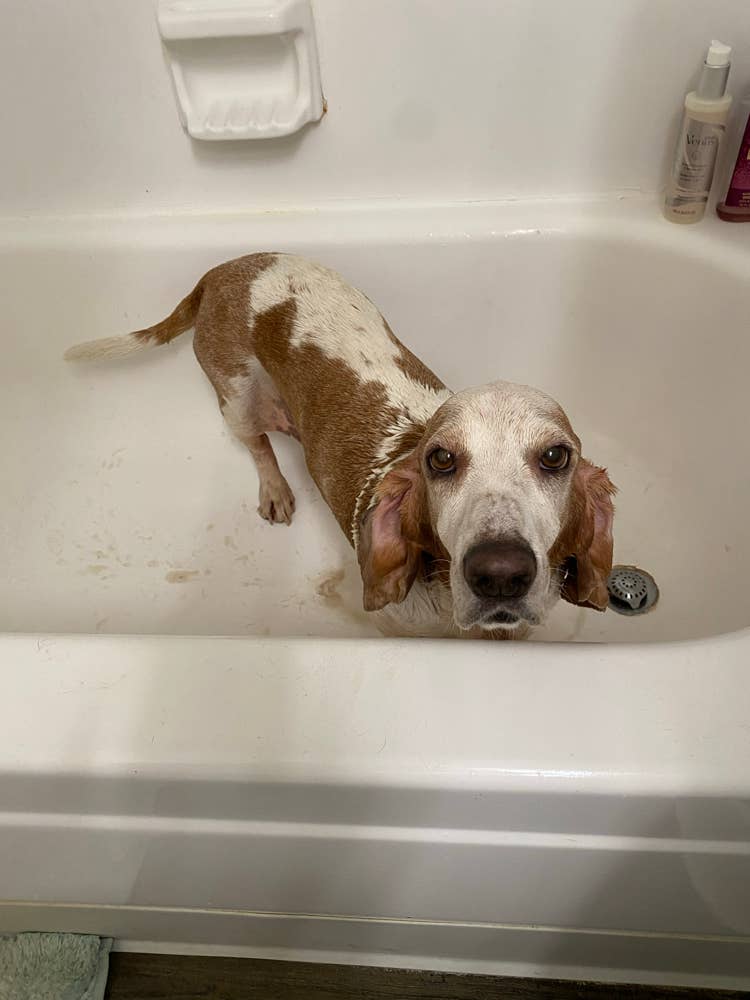 room to rent middle of January