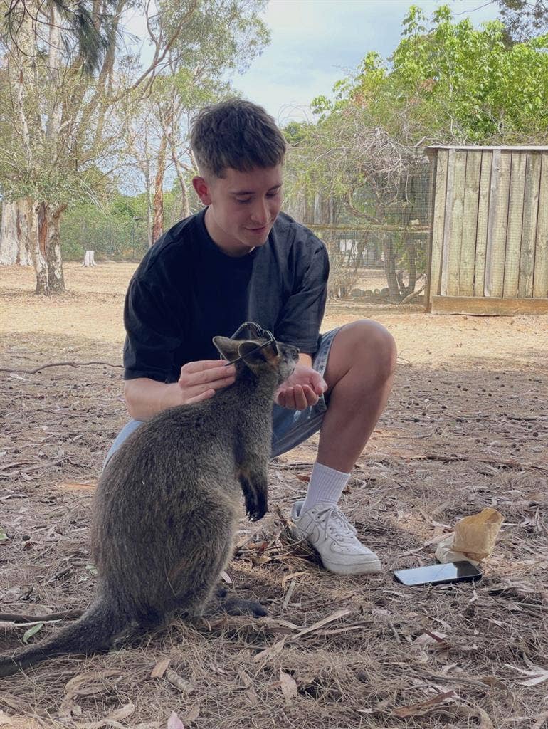 LOOKING FOR L-T ROOM IN SE SUBURBS.