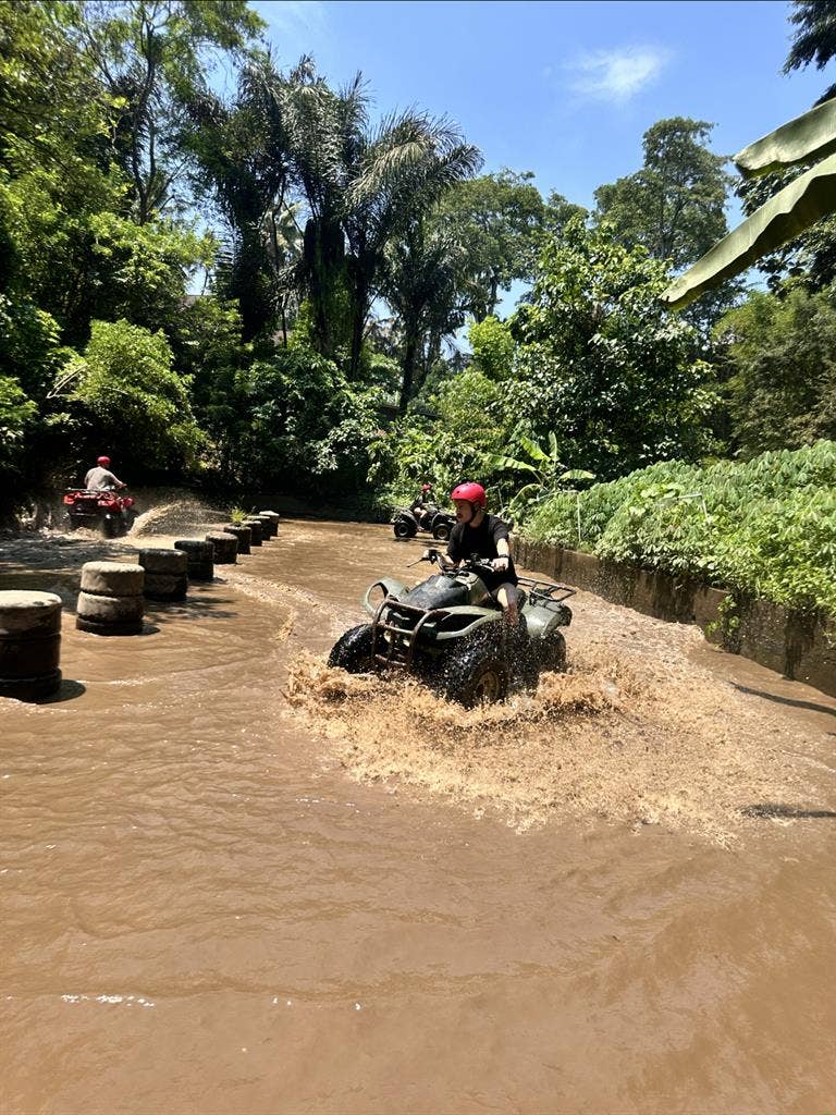 LOOKING FOR L-T ROOM IN SE SUBURBS.