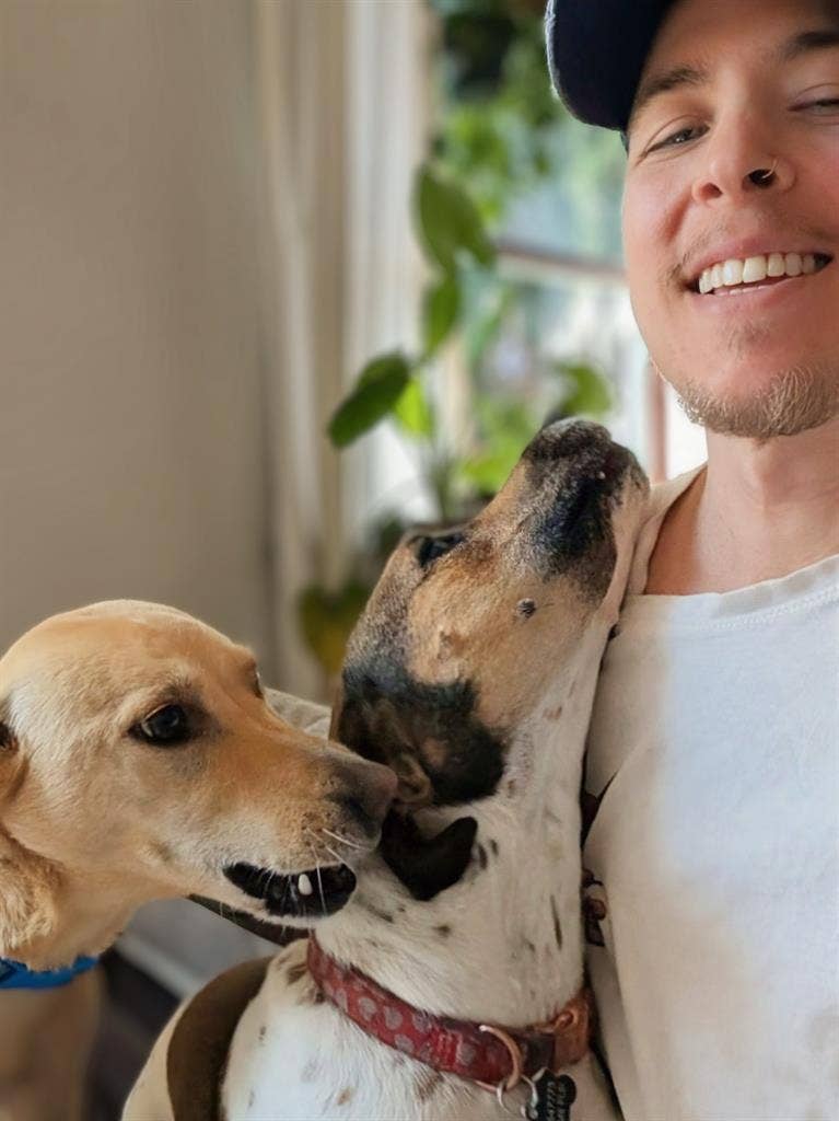 Dog Sitter Seeking ADU/Studio