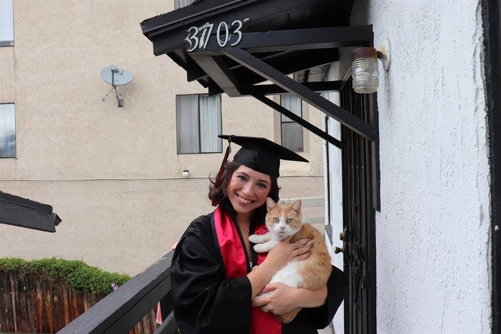 Looking for a room for cat and I!