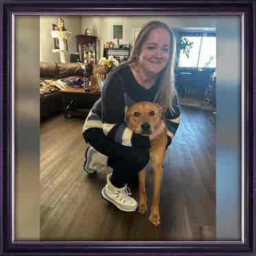 Need a room that allows pets August