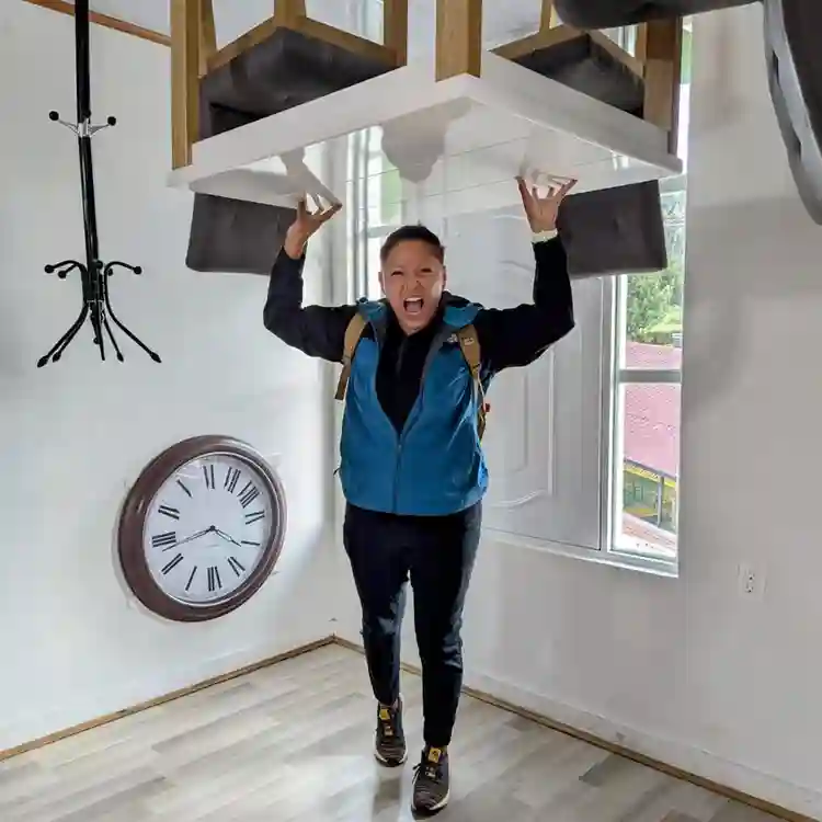 Look for room to rent