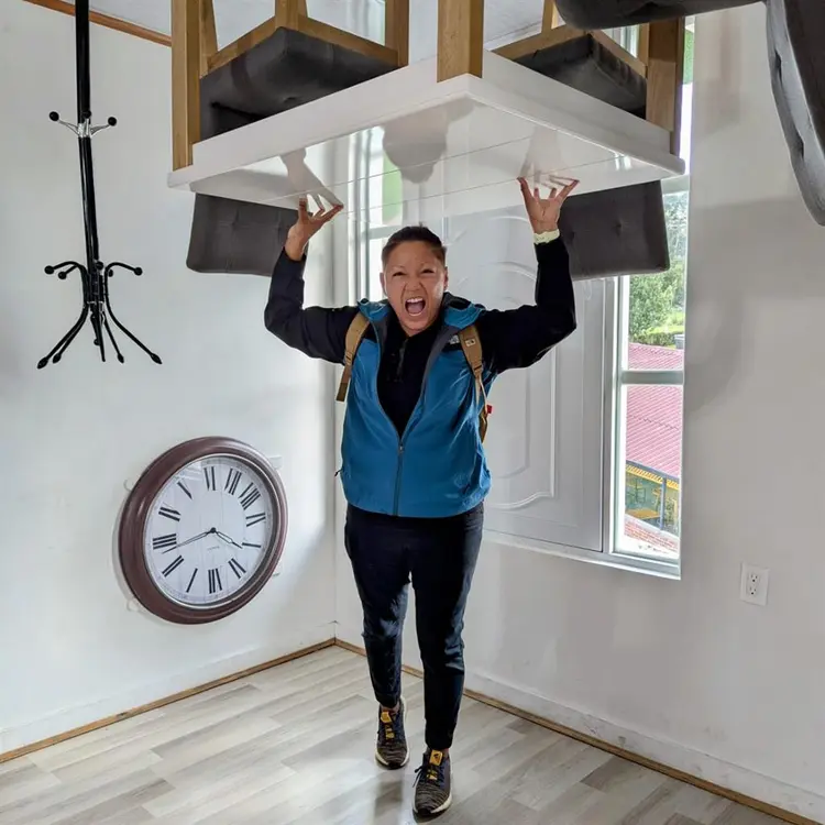 Look for room to rent