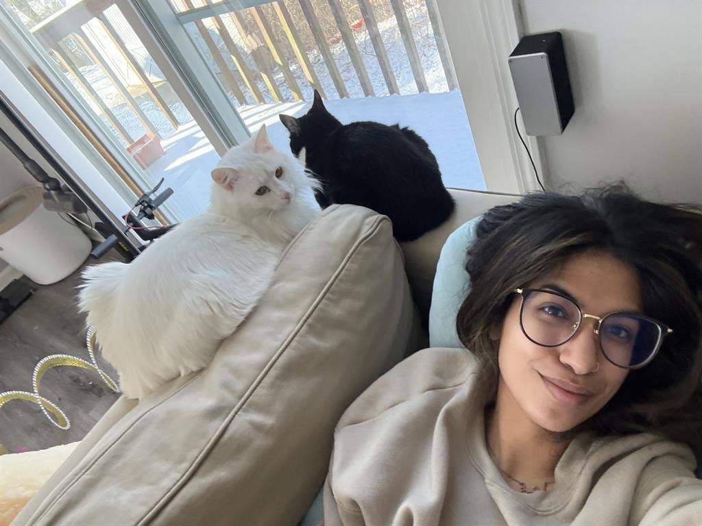 looking for fun roommates!