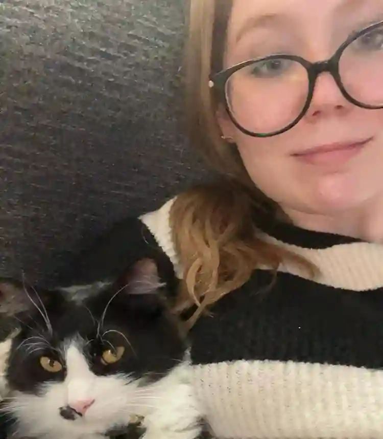 3 cool cats looking for a room