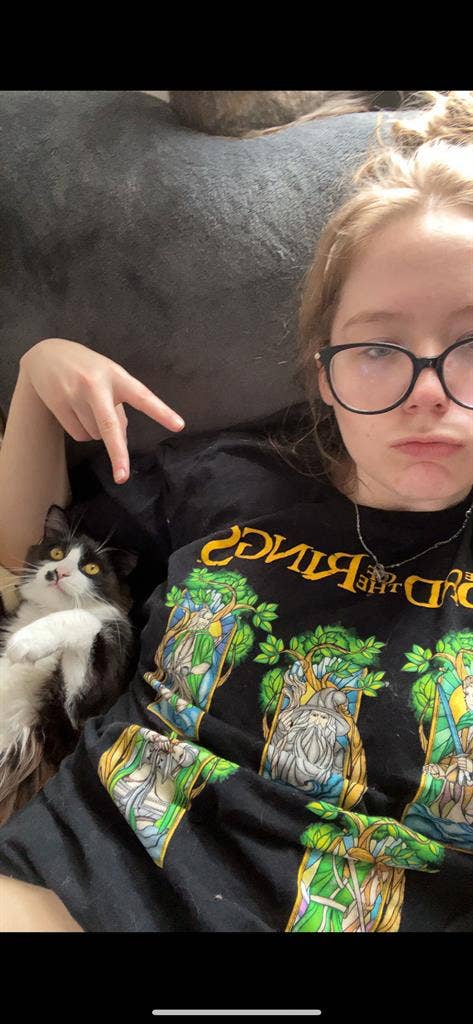 3 cool cats looking for a room