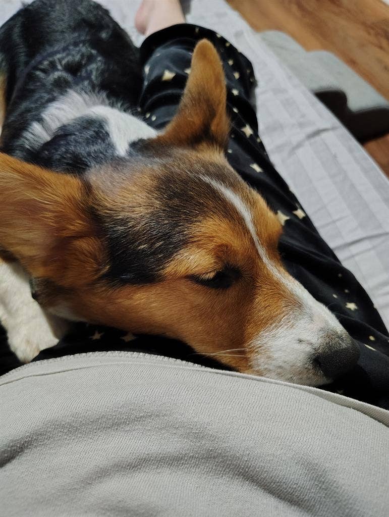 Looking for a roommate