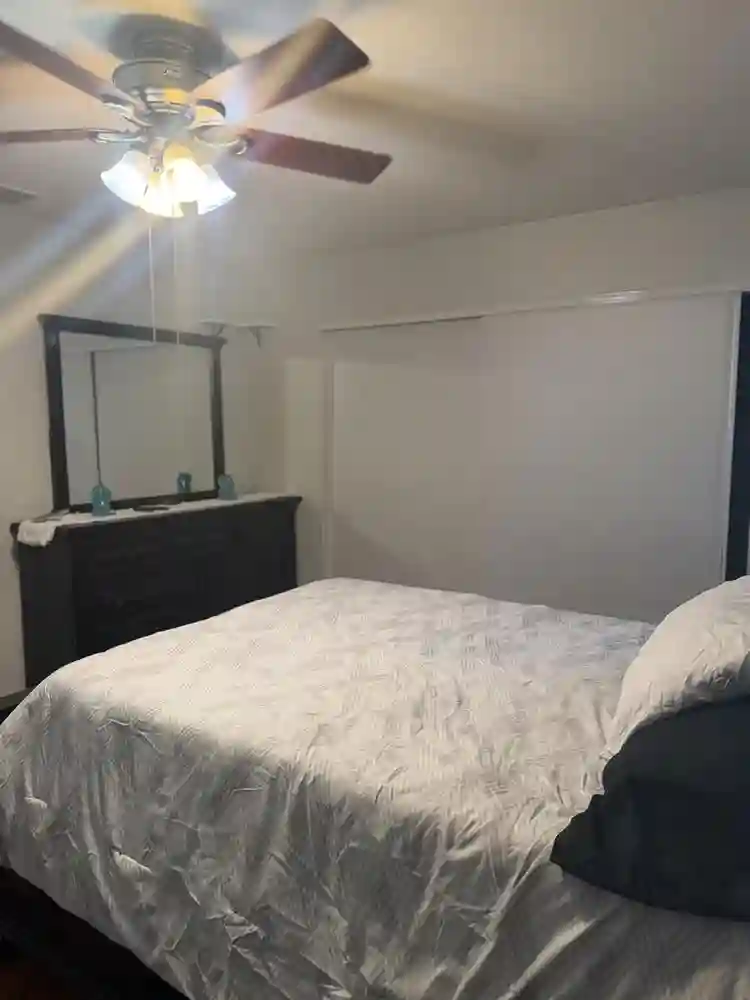 Furnished master suite w