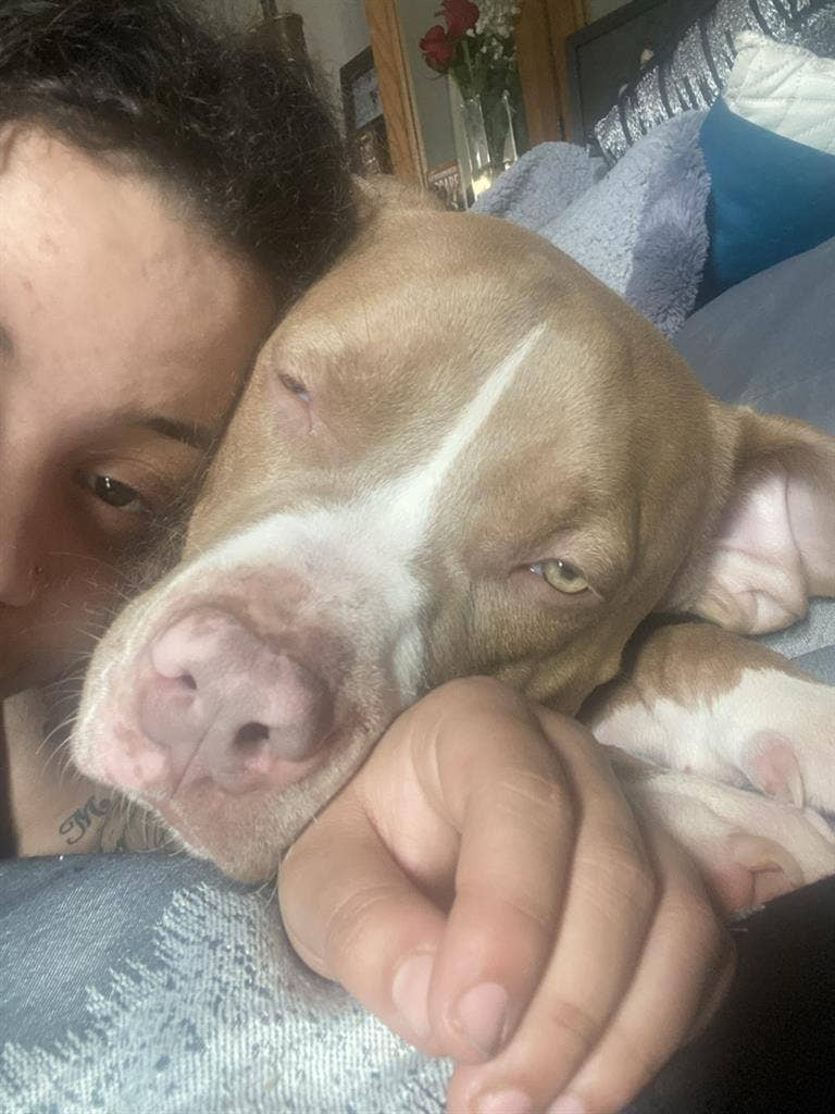 Looking for a home asap!