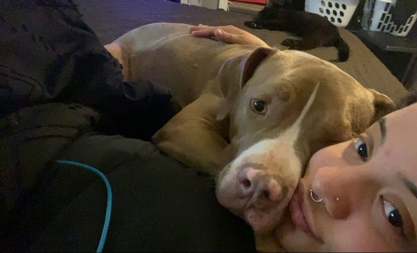 Looking for a home asap!