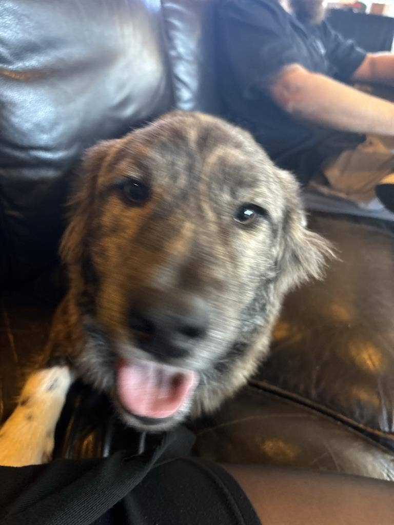 Looking for a room to rent!