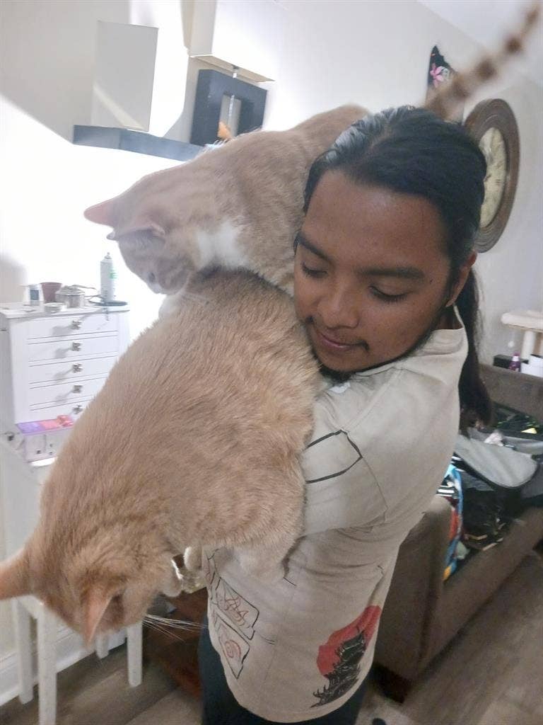 I'm Latino got 2 cats