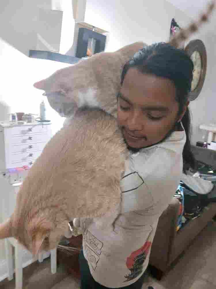 I'm  Latino got 2 cats