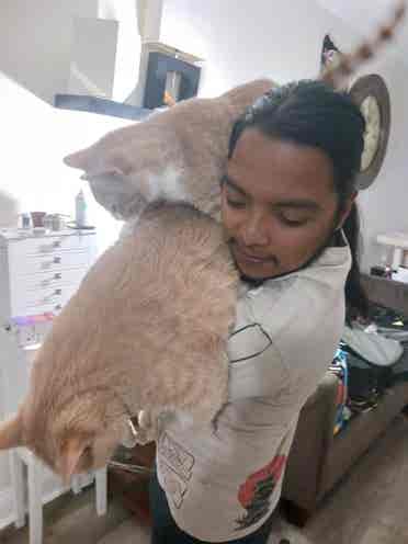 I'm  Latino got 2 cats
