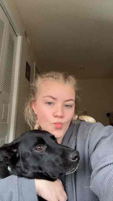 Looking for our long term home