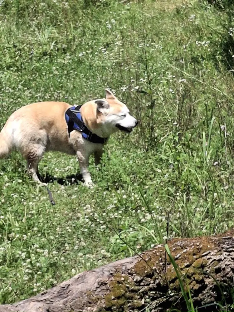 Looking for Room to Rent