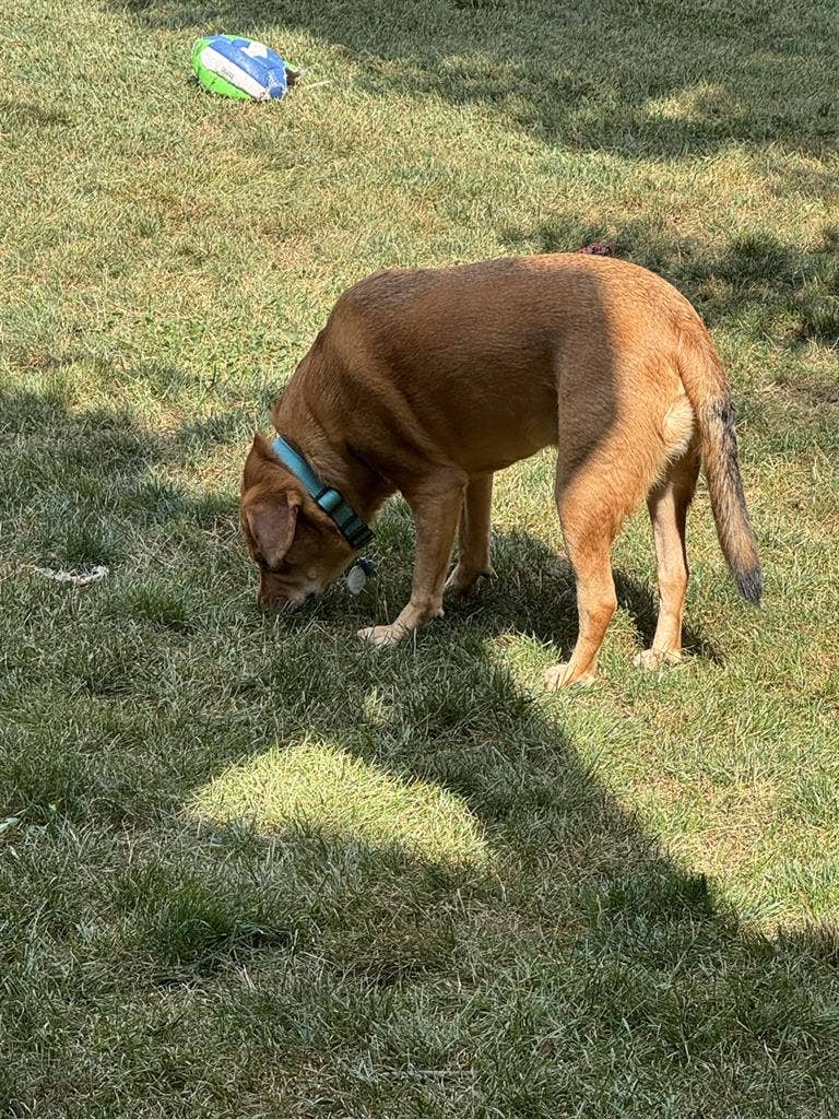 Looking to share place in Olathe