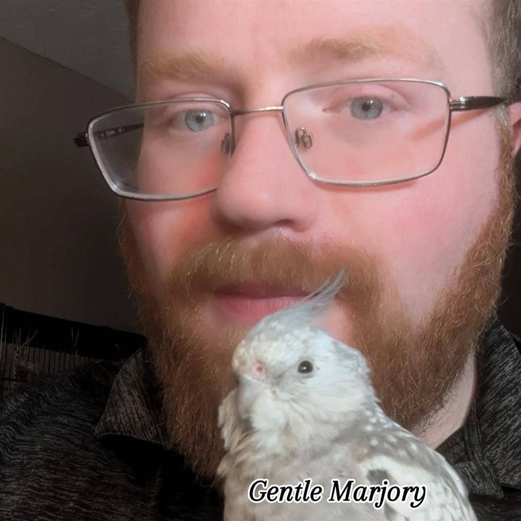 Seeking a pet friendly home.