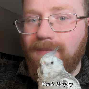 Seeking a pet friendly home.