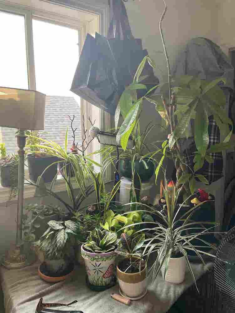 New Listing