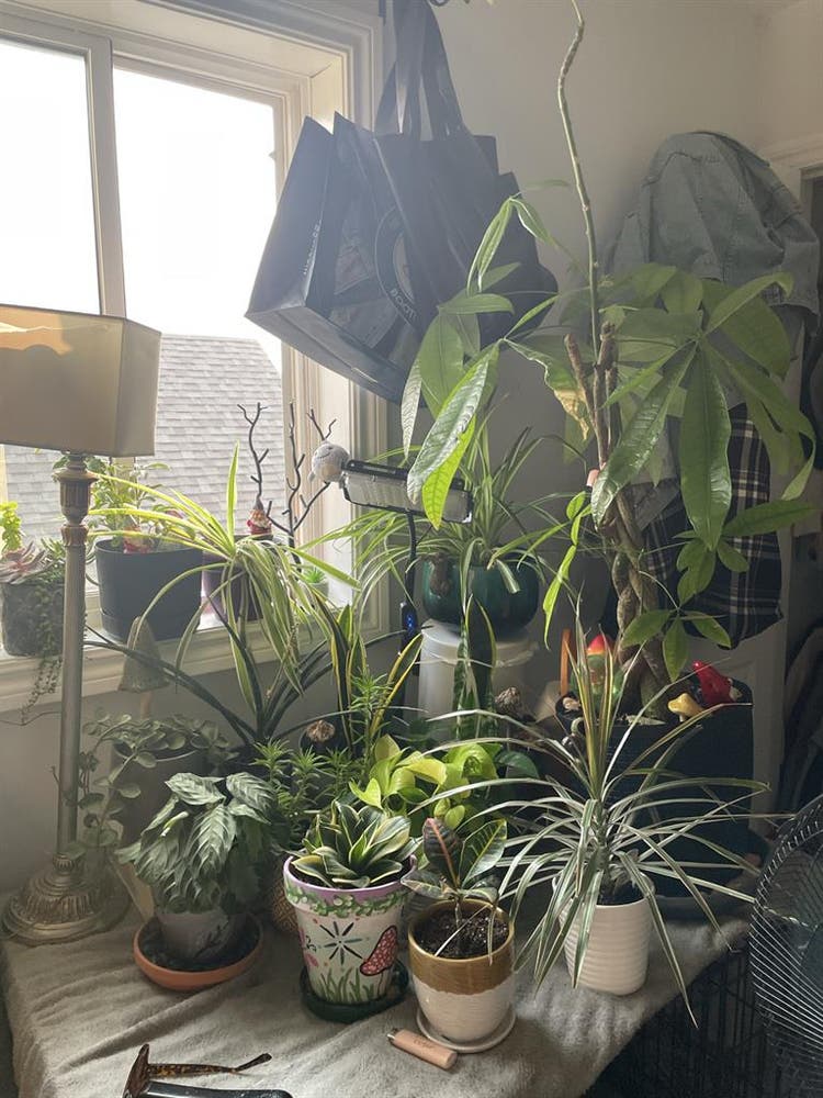 New Listing
