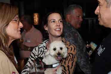 A Brit & The Happiest Dog Ever