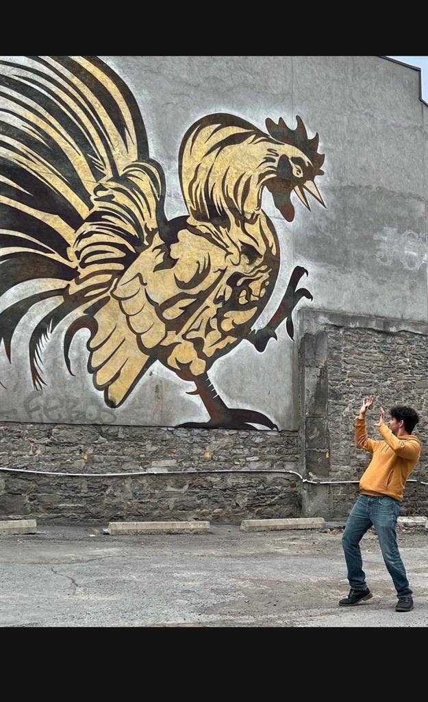 searching for a place to stay!