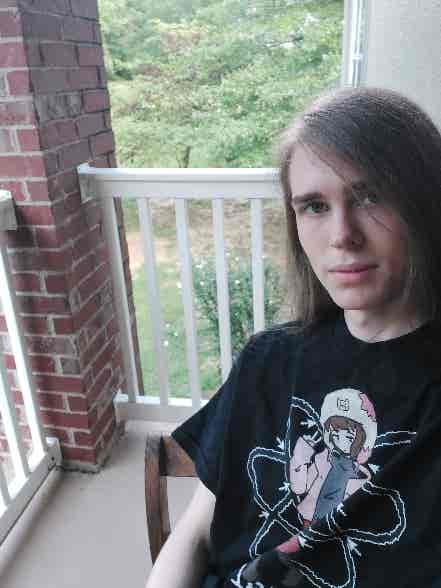 david