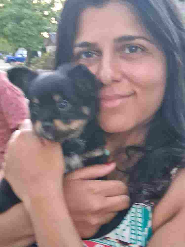 room rent for lady and puppy