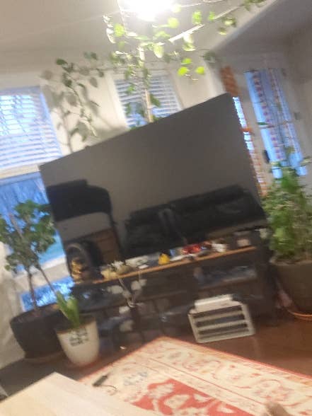 Looking to rent a room in B TH