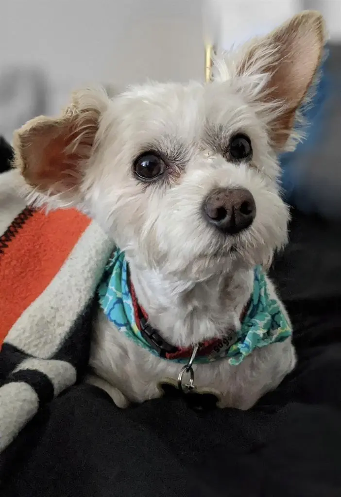 Seeking room in canton/brewers hill