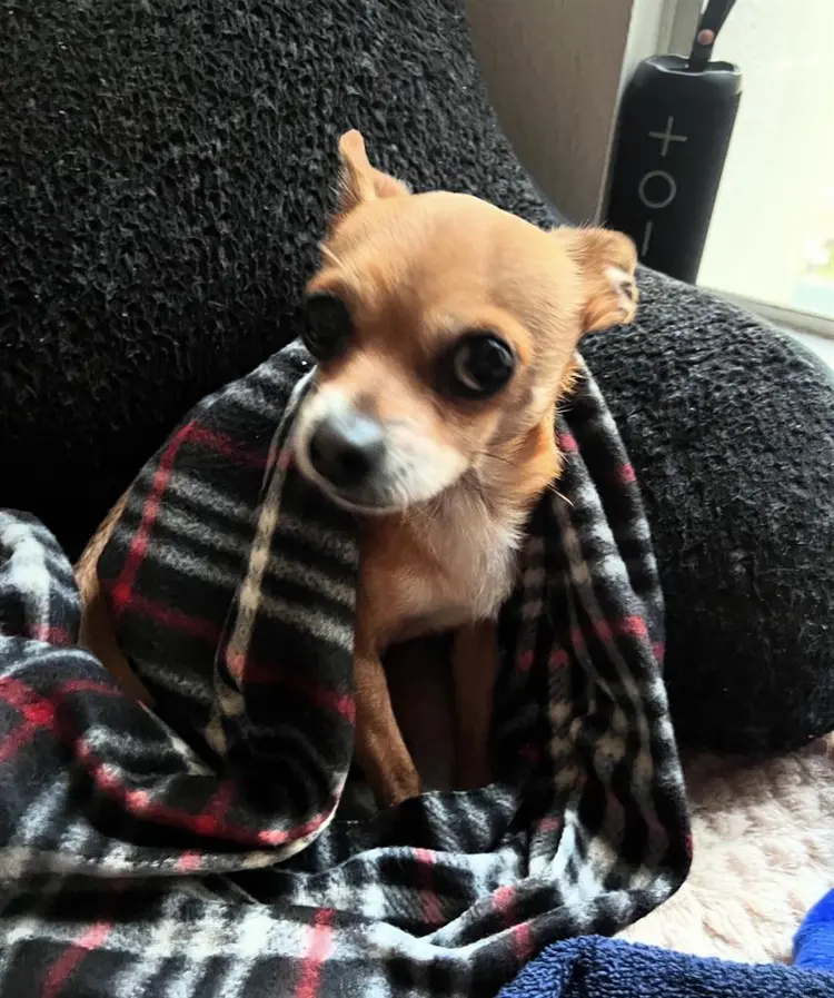 Seeking room in canton/brewers hill