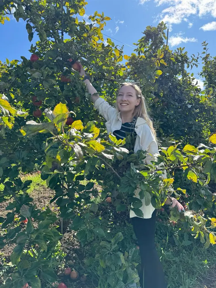 Looking for room near Marlborough