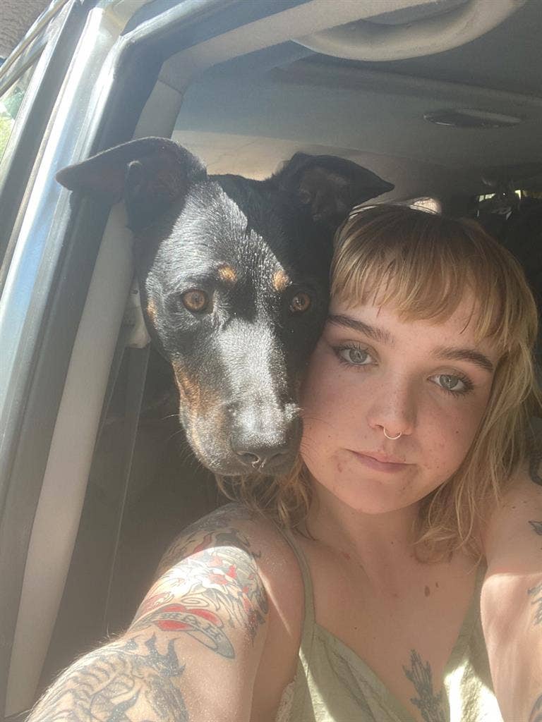 LOOKING FOR ROOM TO RENT