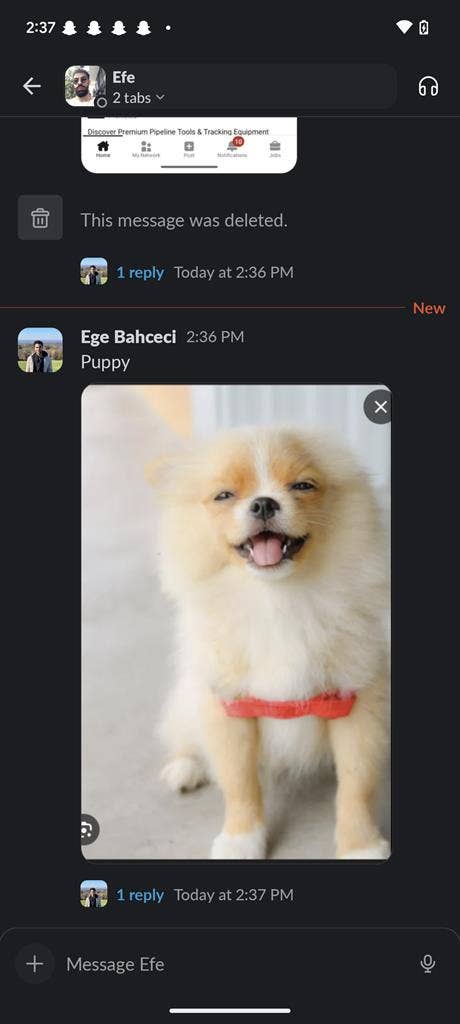 Ege
