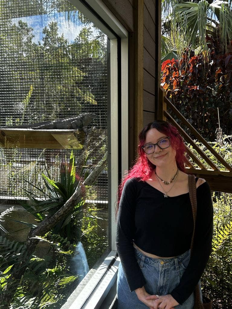Looking for a roommate