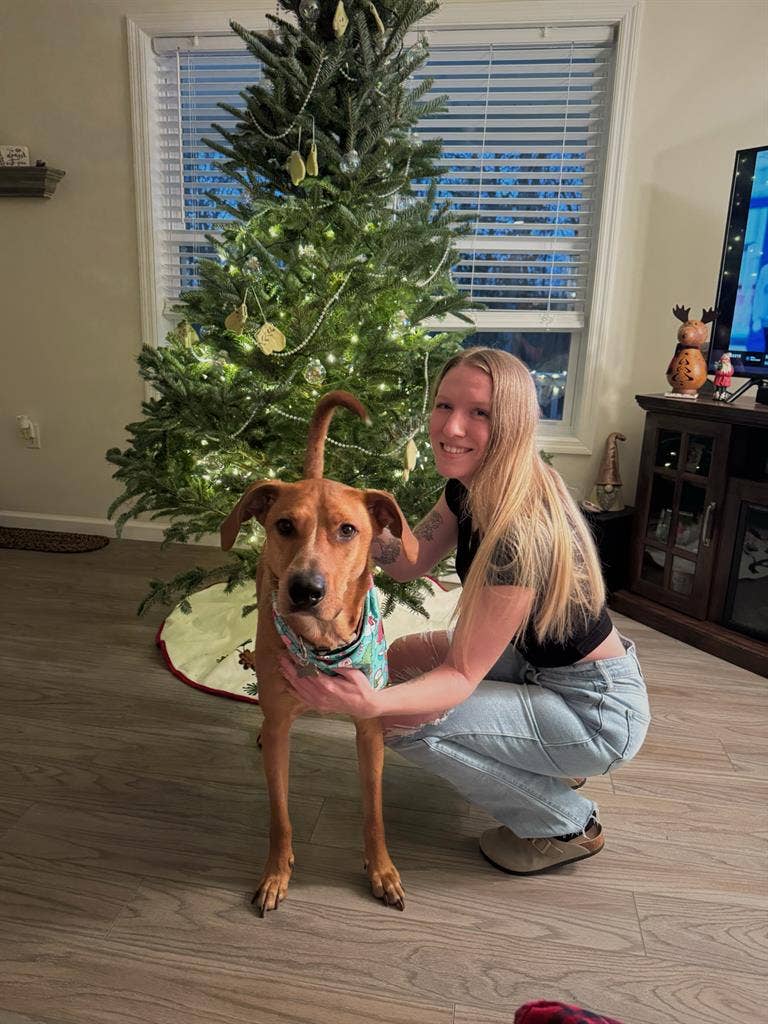 Lexi