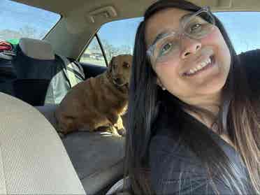 Looking for roommate okay with dog