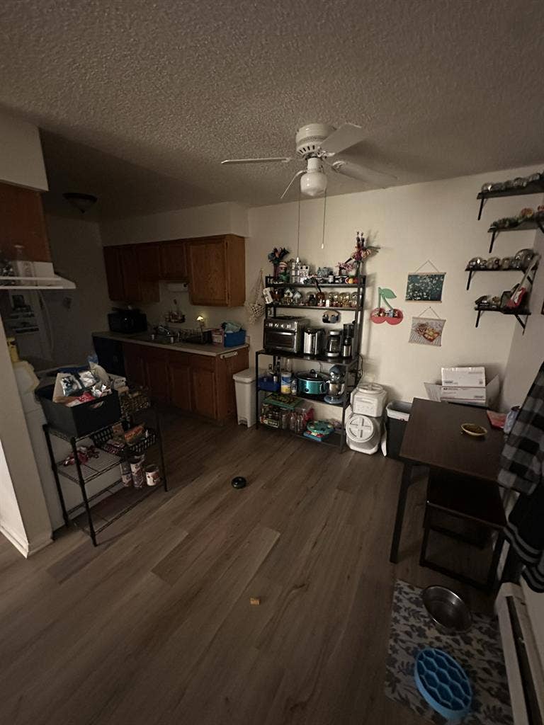 Looking for room/roommate by