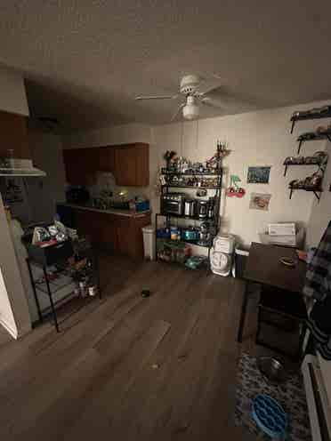 Looking for room/roommate by